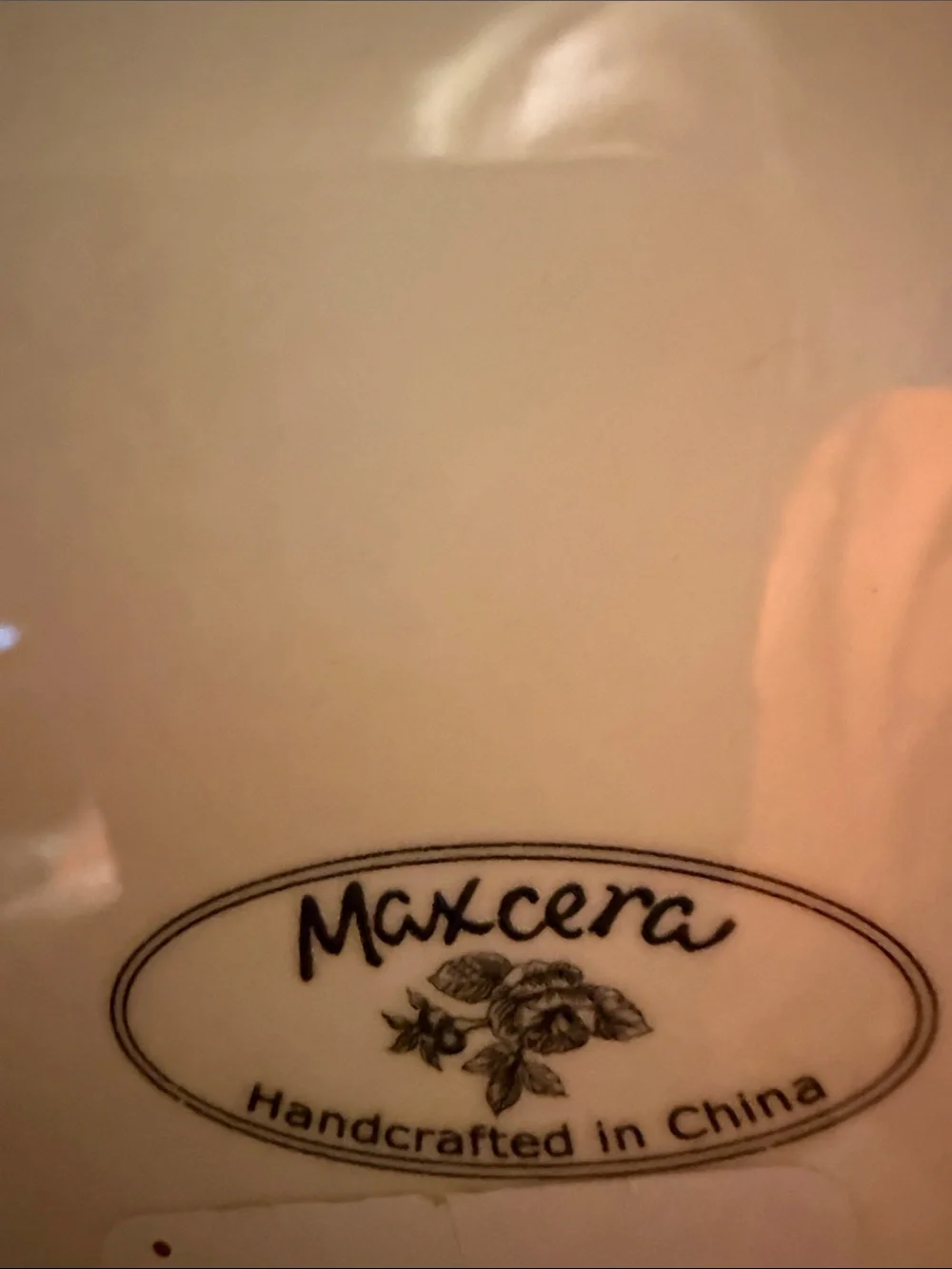 Maxcera Cup hand painted